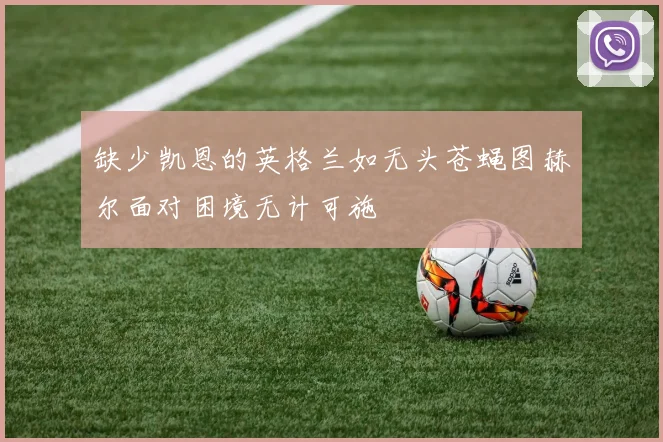 缺少凯恩的英格兰如无头苍蝇图赫尔面对困境无计可施